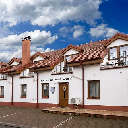 Pod Kravi Horou 3* Bořetice