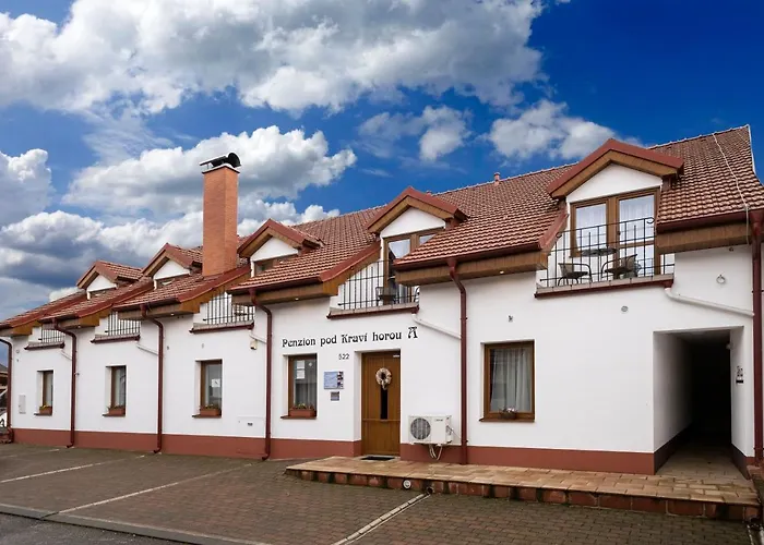 Pod Kravi Horou 3* Bořetice